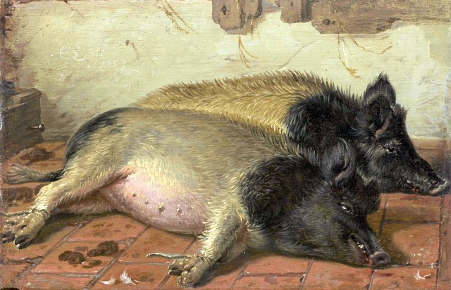 Two Pigs by Cornelis Saftleven