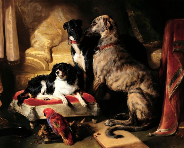 Hector, Nero, and Dash with the parrot, Lory by Edwin Landseer