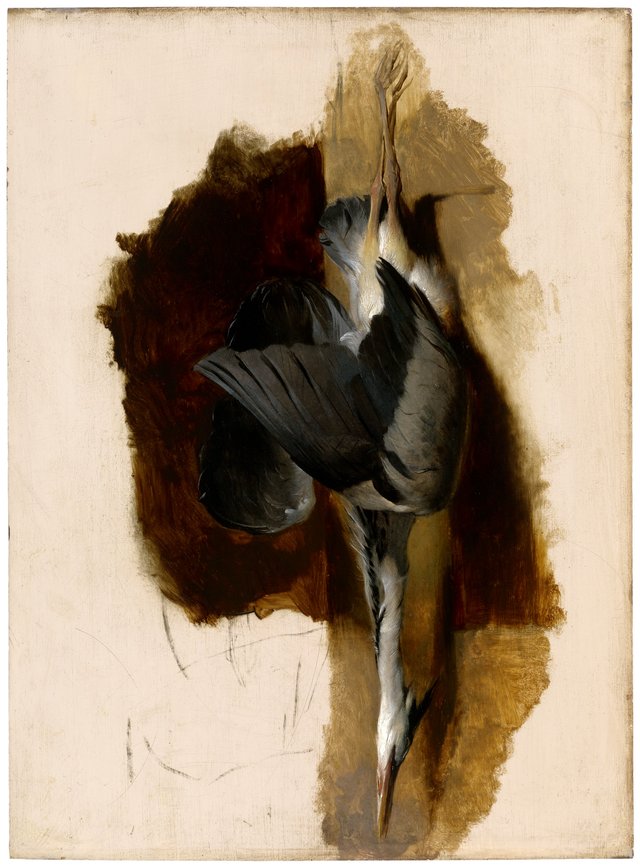 Study of a Dead Heron by Edwin Landseer