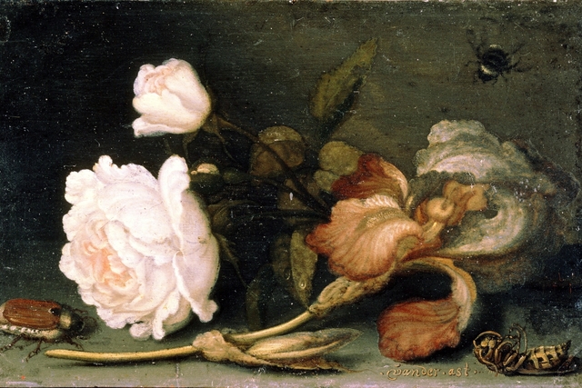 Still Life with Rose and Iris by Balthasar van der Ast