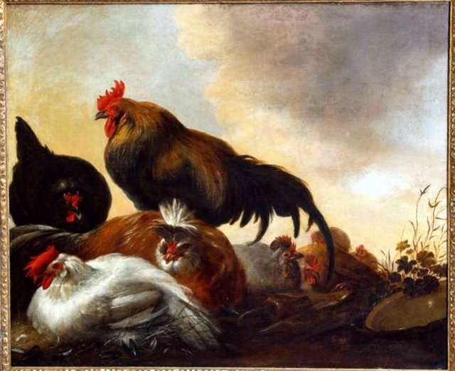 Poultry in a field by Gijsbert d'Hondecoeter