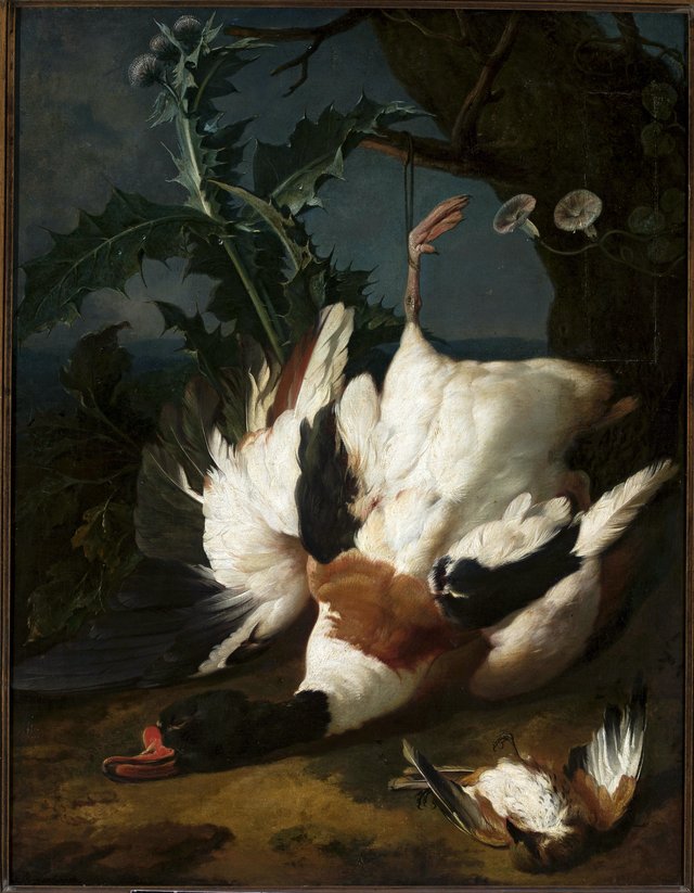 Dead drake by Jan Weenix