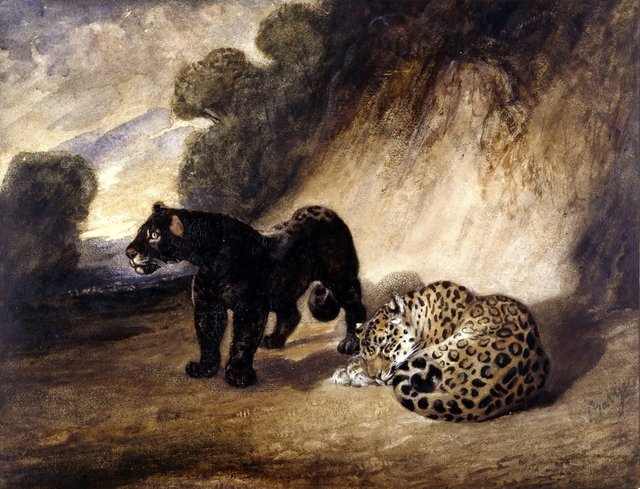 Deux jaguars au Pérou by Antoine-Louis Barye