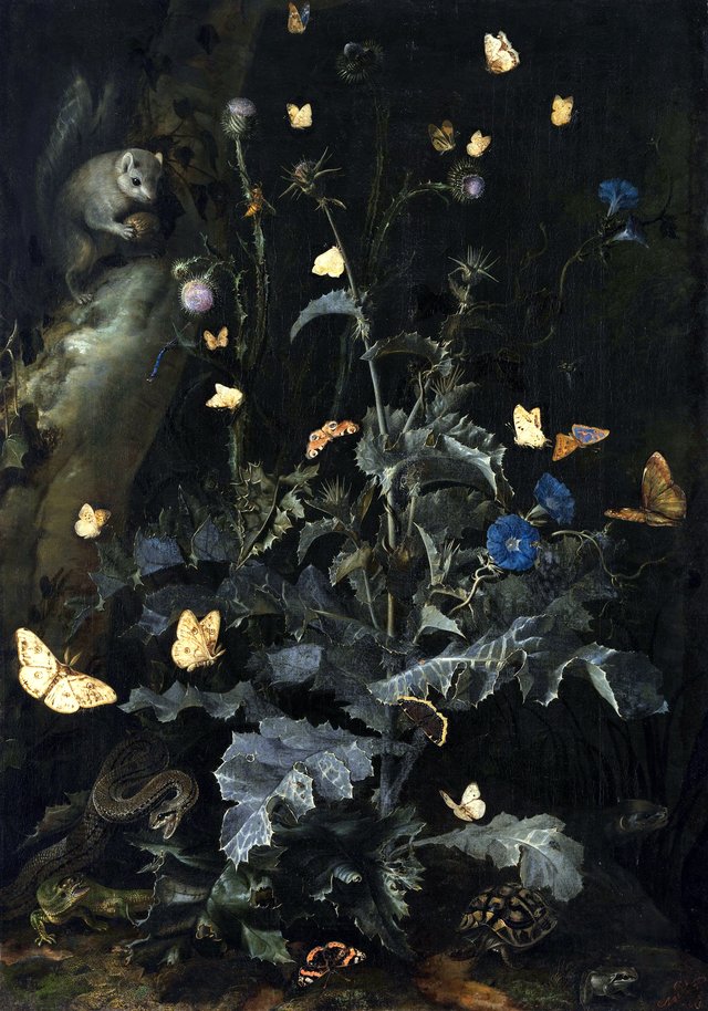 Forest floor still life with thistle and rodent by Otto Marseus van Schrieck