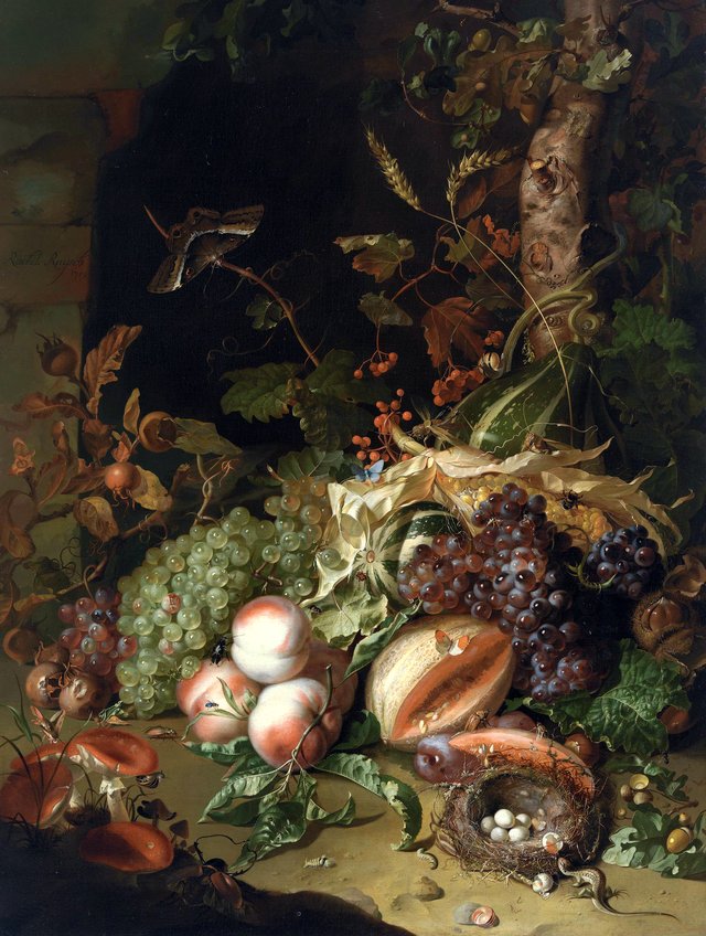 Fruit on a Forest Floor by Rachel Ruysch