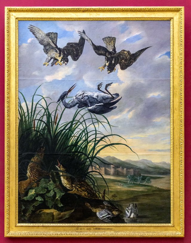 Roofvogels vallen reiger aan by Jan Fyt