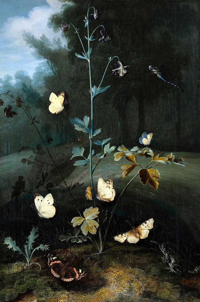Columbine surrounded by butterflies by Otto Marseus van Schrieck