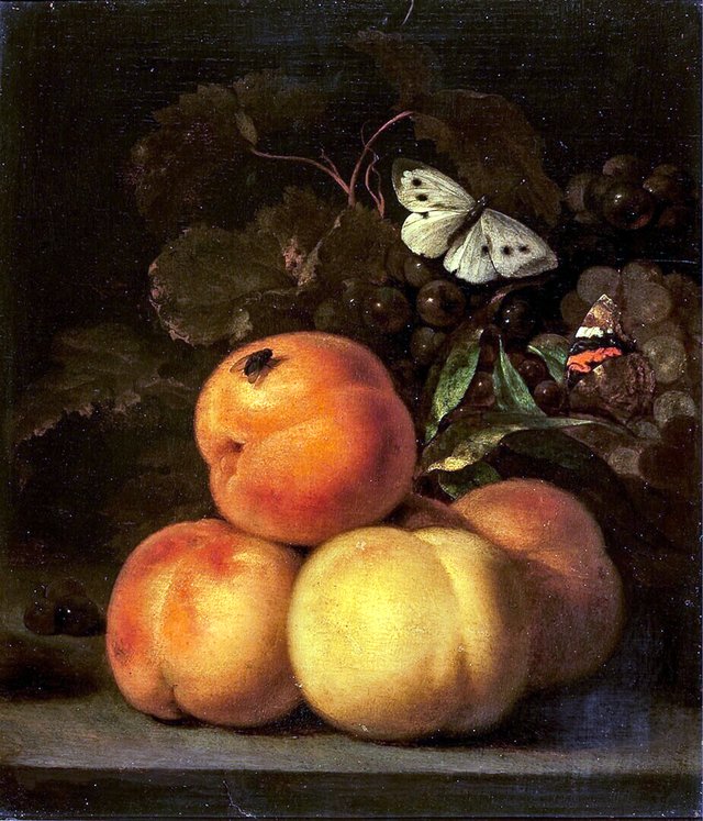Still Life with Peaches by Abraham van Calraet