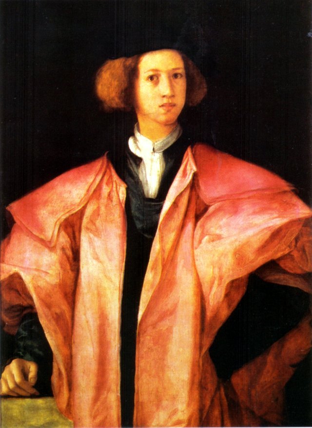 Portrait of a Young Man by Pontormo