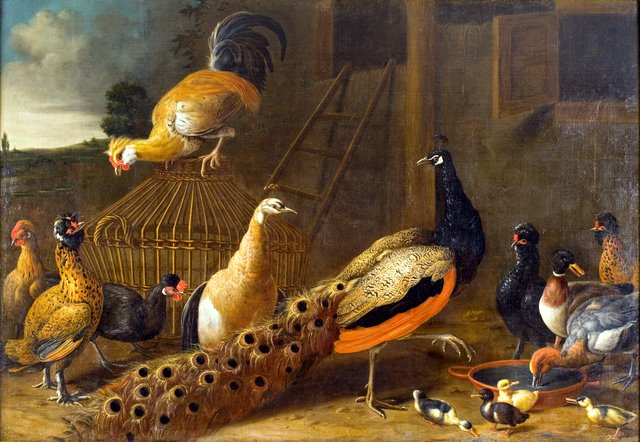 Hoenderhof by Melchior d'Hondecoeter