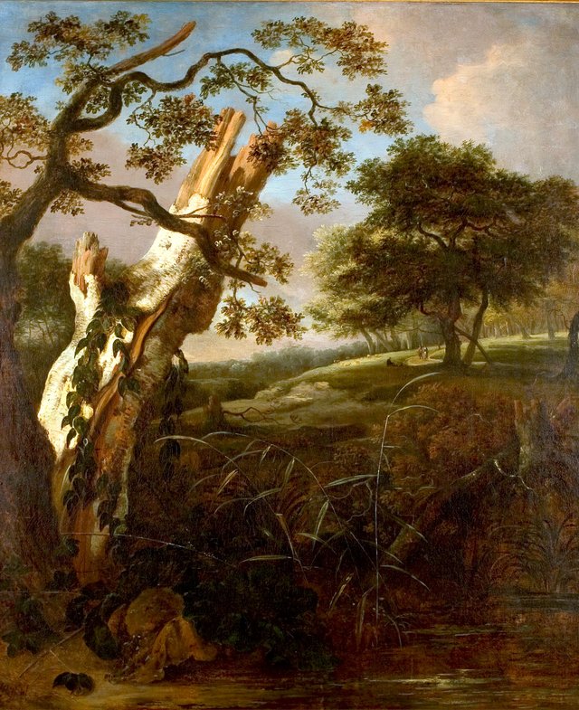 Een berkenstam in een heuvelachtig landschap by Jan van Kessel