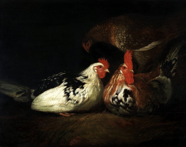Haan met kippen by Jacob Gerritsz. Cuyp