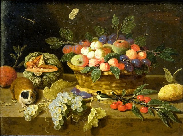Still life of fruit with a cavia by Jan van Kessel the Elder