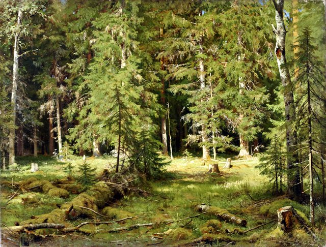 Forest by Ivan Shishkin
