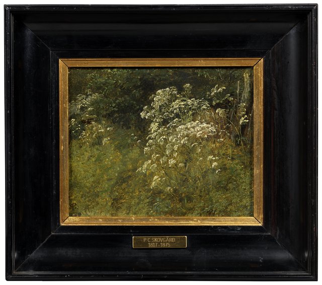 Cow Parsley. Study by P. C. Skovgaard