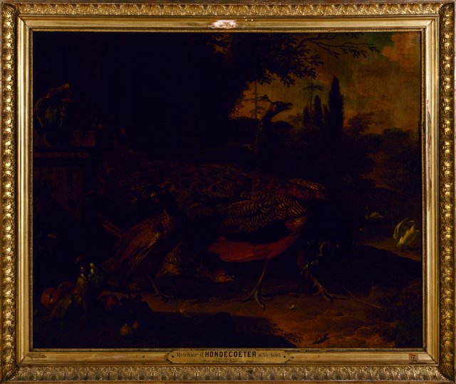 Oiseaux dans un parc by Melchior d'Hondecoeter