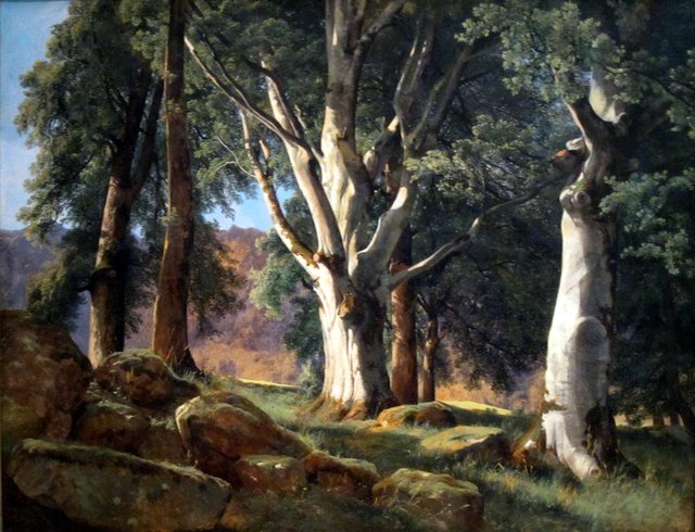 The Sycamores by Alexandre Calame