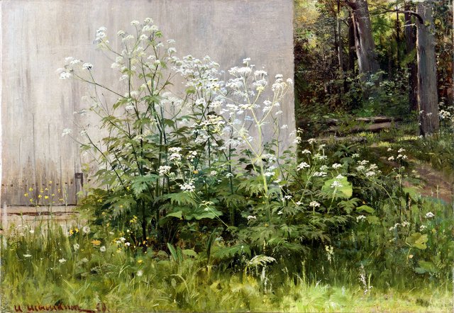 Flowers at the fence by Ivan Shishkin
