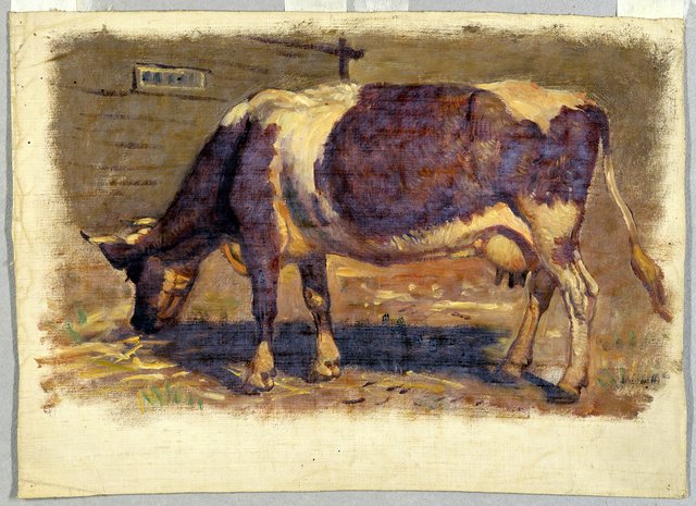 Studies. Cows by Samuel Colman