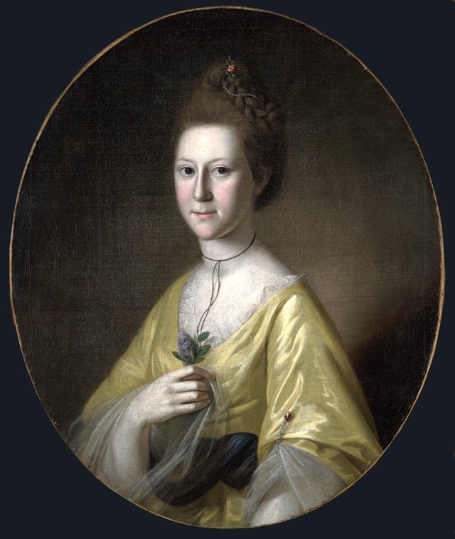 Mrs. James Maccubin Carroll (Sophia Gough) (1772-1816) by Charles Willson Peale