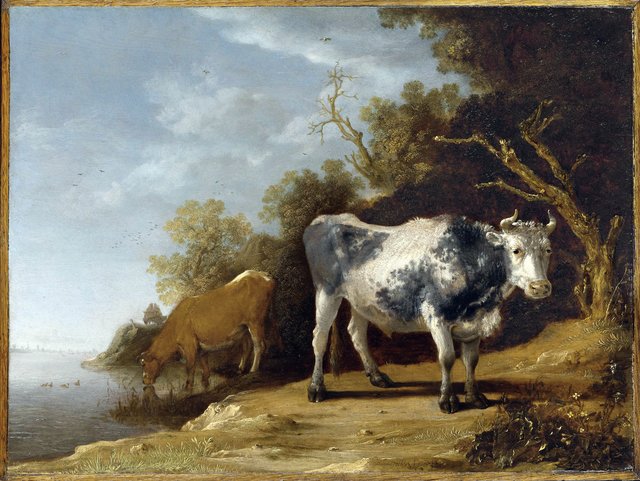 Two Cows beside a Stream by Paulus Potter