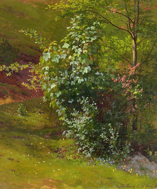 Tree study by Ludwig Richter