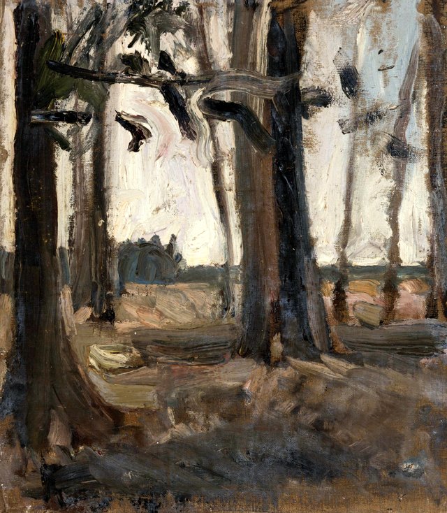 Metsaserv, Nikolai Triik, TKM TR by Nikolai Triik