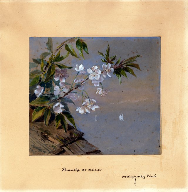 Cherry Flower Twig by László Mednyánszky