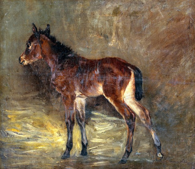 Žriebätko - O by László Mednyánszky