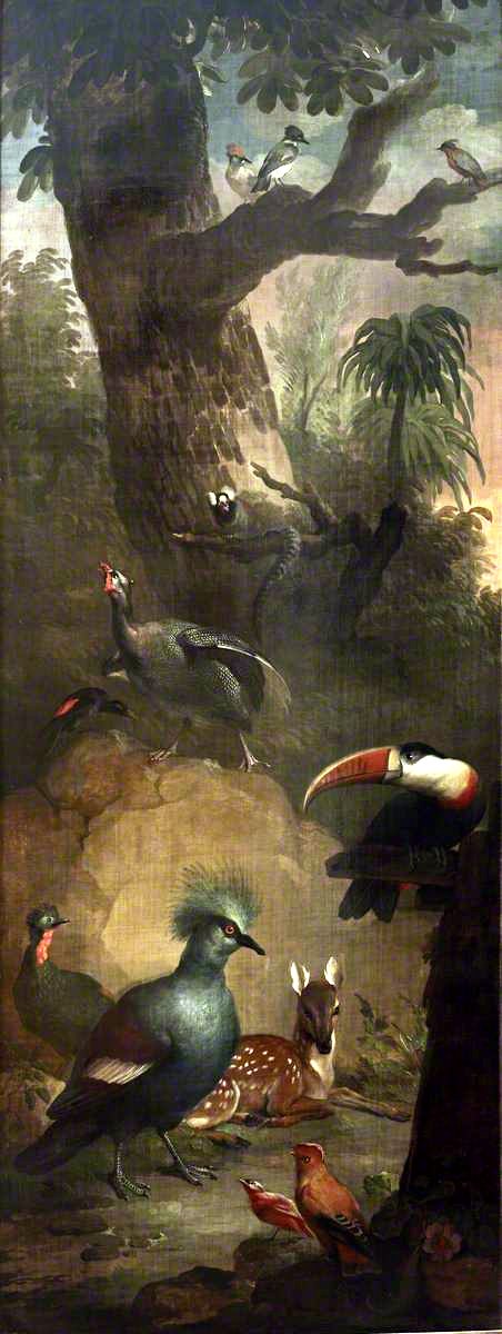 Roe Deer, Marmoset, Toucan and other Birds by Aert Schouman