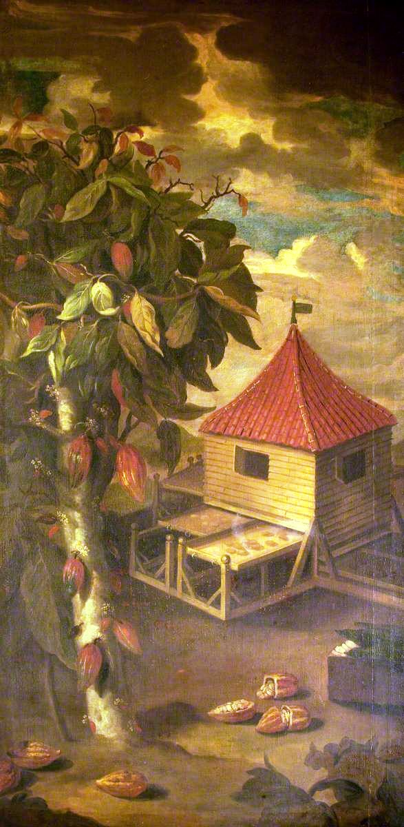 A Cocoa Tree and Roasting Hut by Albert Eckhout