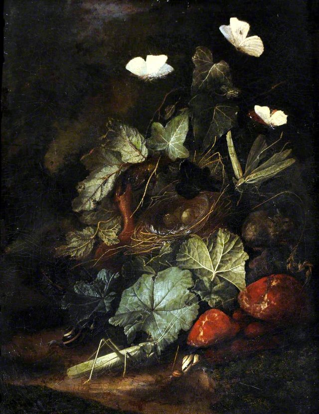 Forest Floor Still Life by Otto Marseus van Schrieck
