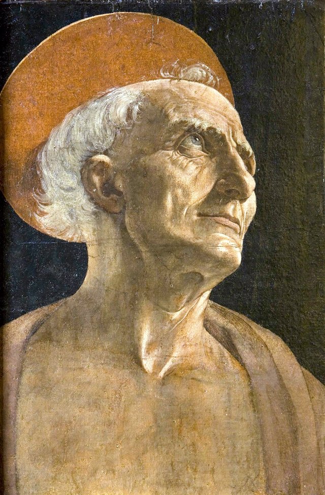 The Face of Saint Jerome by Andrea del Verrocchio