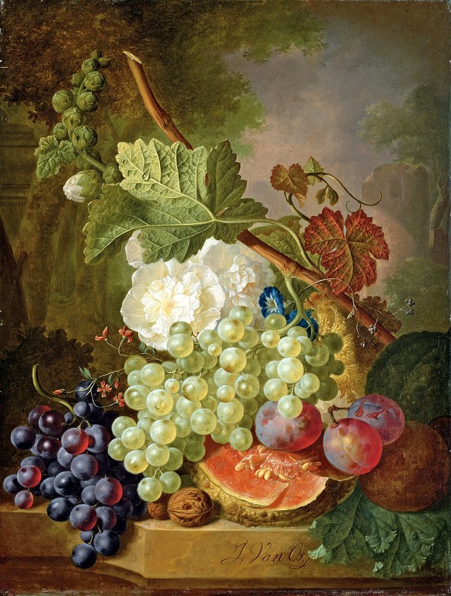 Flowers, grapes, plums, walnuts and a melon on a stone ledge by Jan van Os