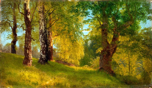 Study of a Wood by August Cappelen