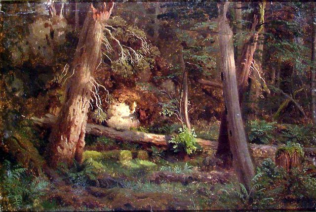 Forest Study by August Cappelen