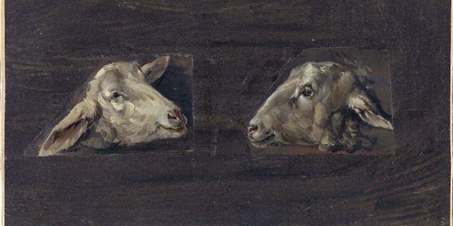 Heads of Sheep by Cornelis Saftleven