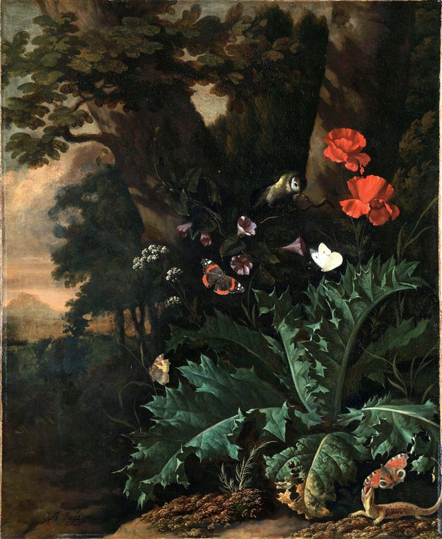 Butterflies and Flowers by Abraham Begeyn