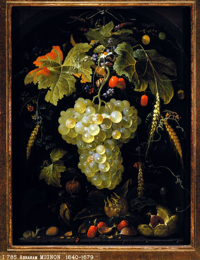 Festoon of fruit suspended from a rope, in a niche by Abraham Mignon