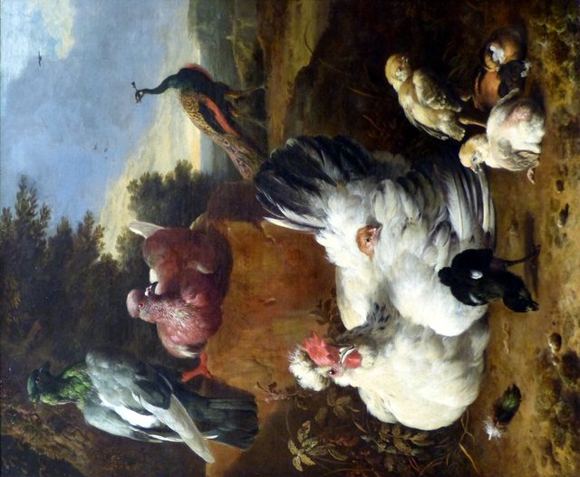 La poule blanche by Melchior d'Hondecoeter
