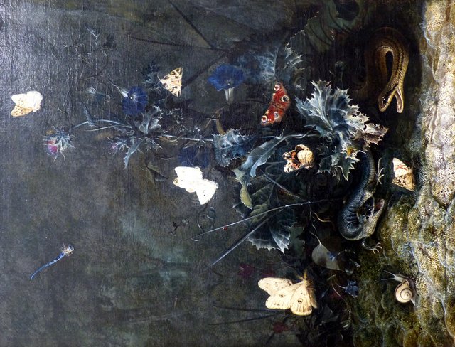 Sous-bois avec papillons autour d'un chardon by Otto Marseus van Schrieck
