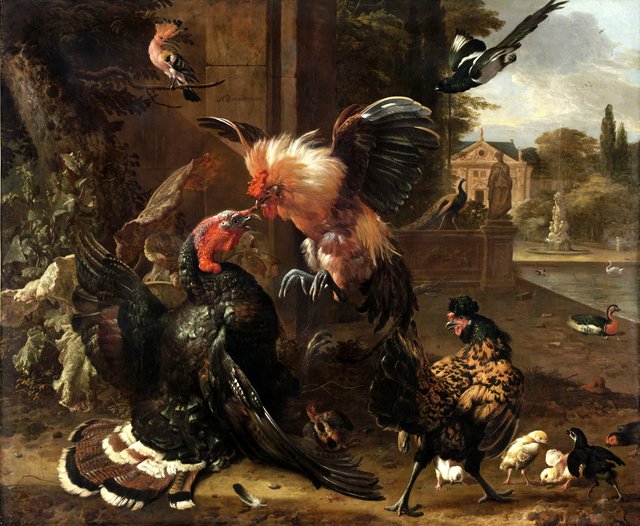 A Rooster and Turkey Fighting by Melchior d'Hondecoeter