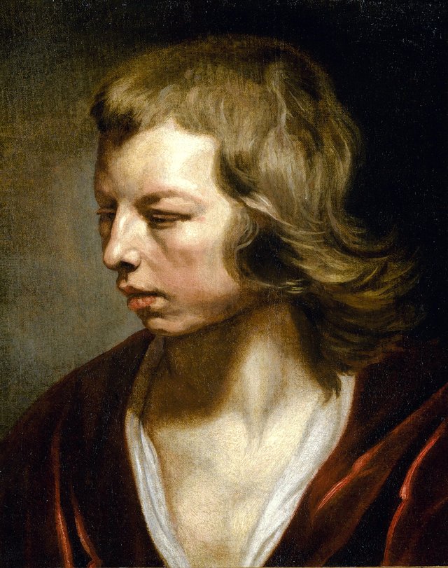 Study of a Boy by Michaelina Wautier
