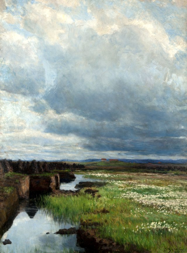 Torvmyr - Stavanger kunstmuseum - SG. by Kitty Lange Kielland