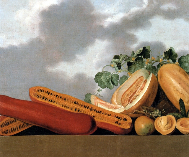 Still-life of melons, mangos and a grasshopper by Albert Eckhout