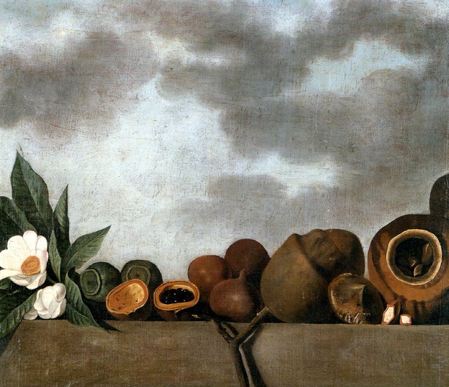 Still-life of various of Brazilian nuts by Albert Eckhout