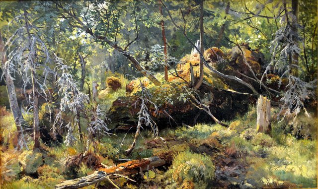 Branches. A Study by Ivan Shishkin