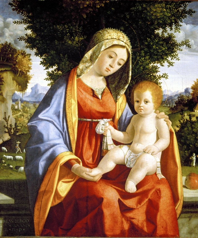 Madonna and Child in Landscape by Andrea Previtali