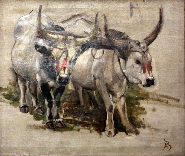 Attelage de zébus en Inde, étude by Paul-Albert Besnard