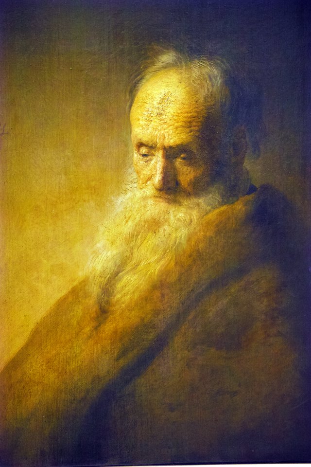 Bust of an Old Man by Jan Lievens